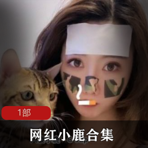 某推小网红极品美女小鹿1部