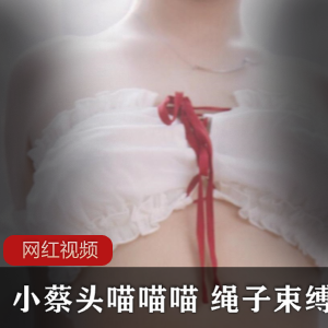 小蔡头喵喵喵 绳子束缚作品一部