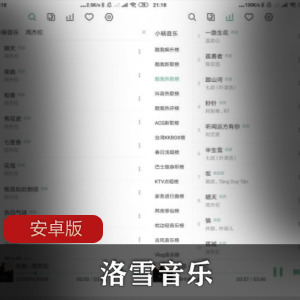洛雪音乐安卓版