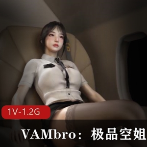 精选黑丝空姐：VAM航空服务极致唯美