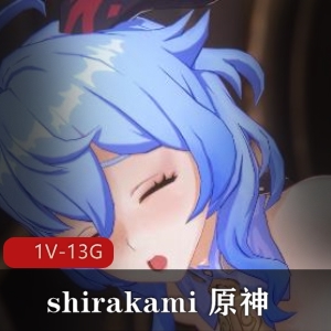 原神&崩坏三作品合集4K60FPS视频时长24分钟姐姐精彩表现