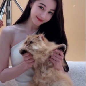 推特热巴AI换脸合集88V50G神仙颜值